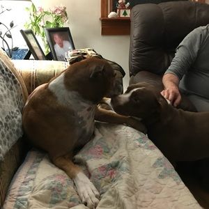 Meet your Posher, Corina